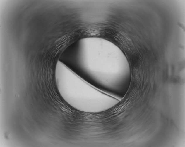 X0000097981442200803241031