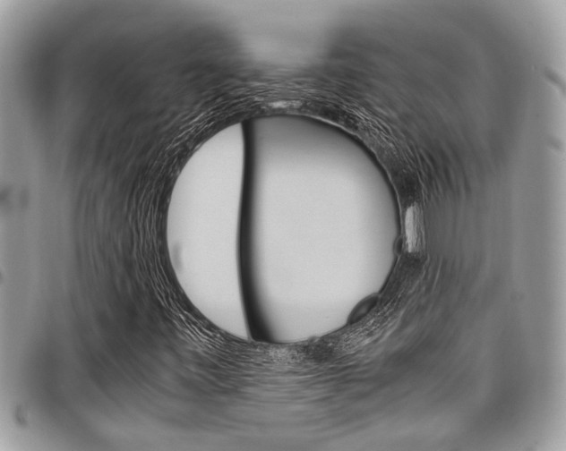 X0000097981443200803241031
