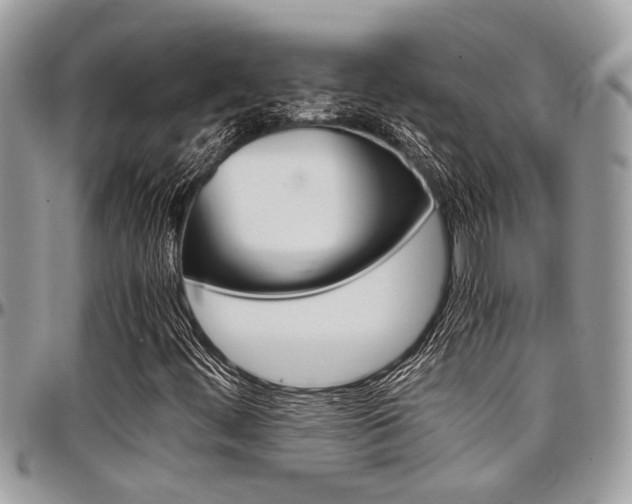 X0000097981444200803241031
