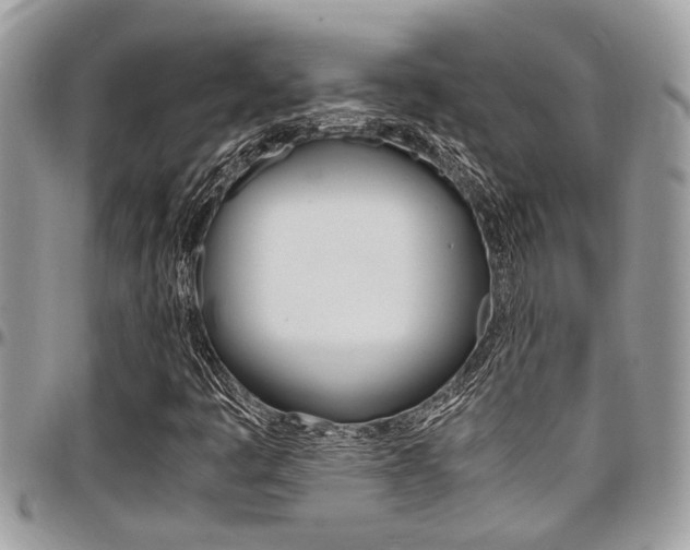 X0000097981445200803241031