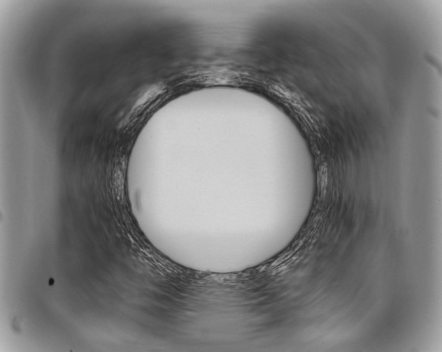 X0000097981446200803241031
