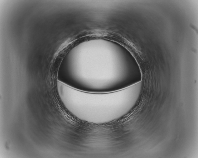 X0000097981448200803241031