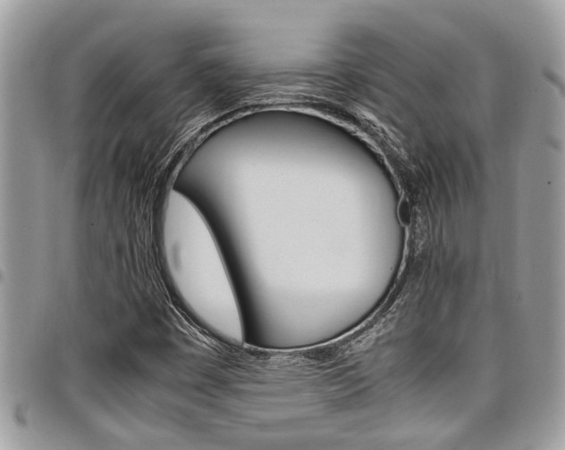 X0000097981449200803241031