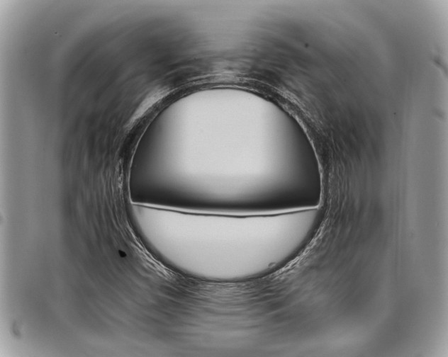 X0000097981450200803241031