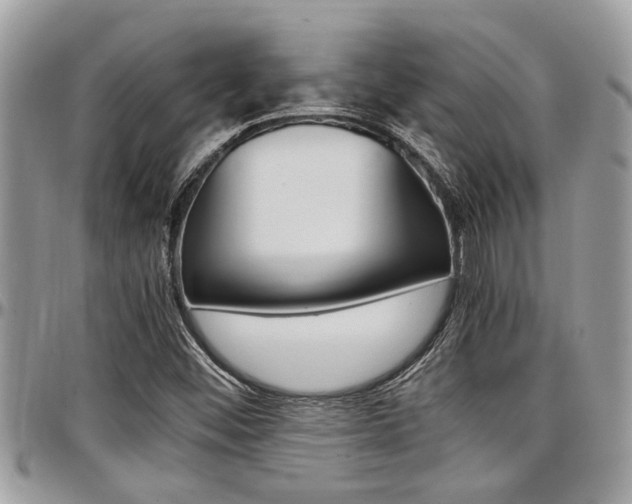 X0000097981452200803241031