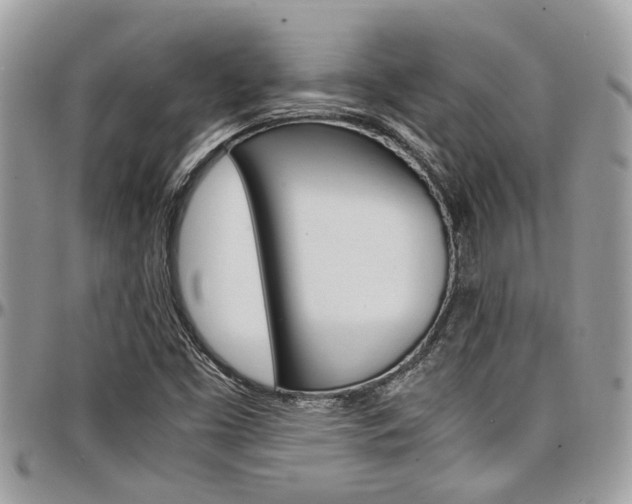 X0000097981453200803241031