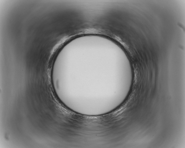 X0000097981454200803241031