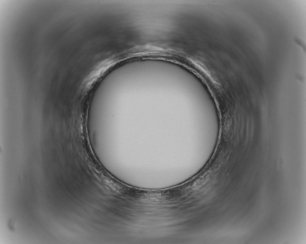 X0000097981455200803241031