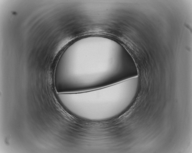 X0000097981458200803241031