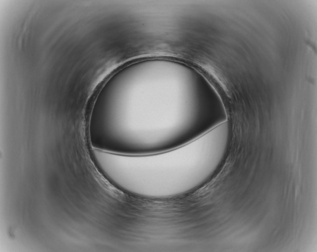 X0000097981460200803241031