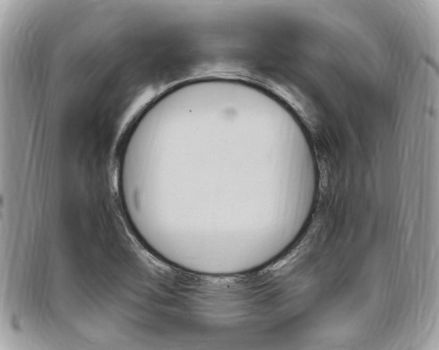 X0000097981462200803241031