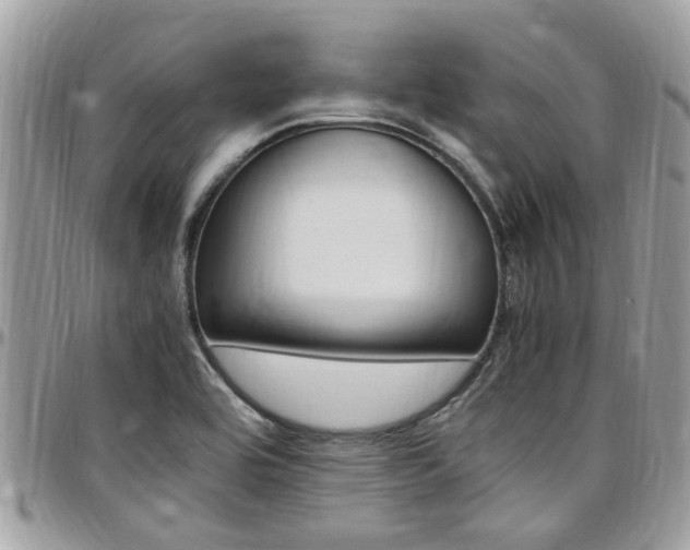 X0000097981464200803241031
