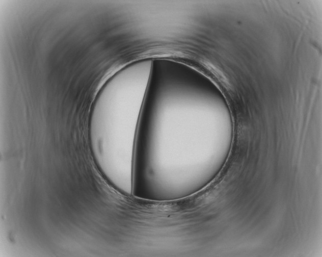 X0000097981465200803241031