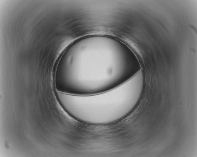 X0000097981468200803241030