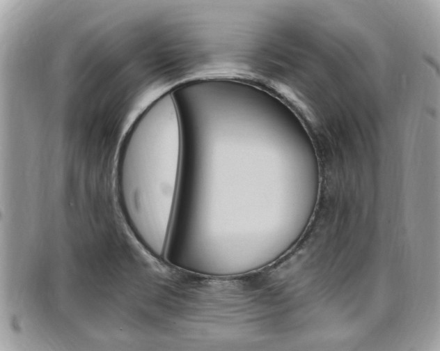 X0000097981469200803241030