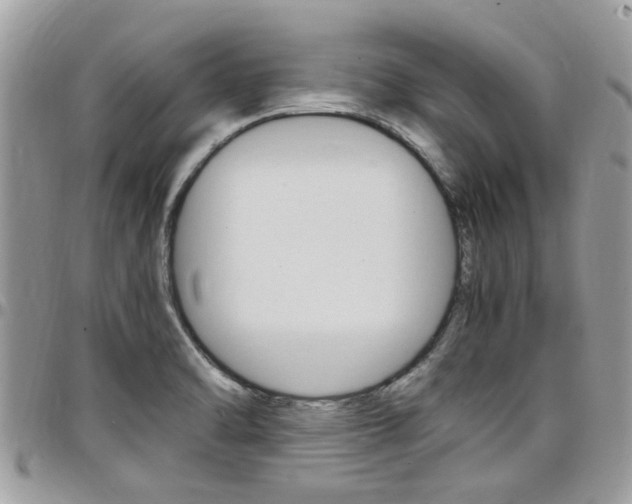 X0000097981470200803241030