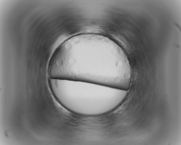 X0000097981471200803241030