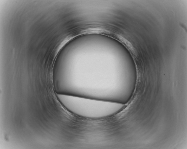X0000097981473200803241030