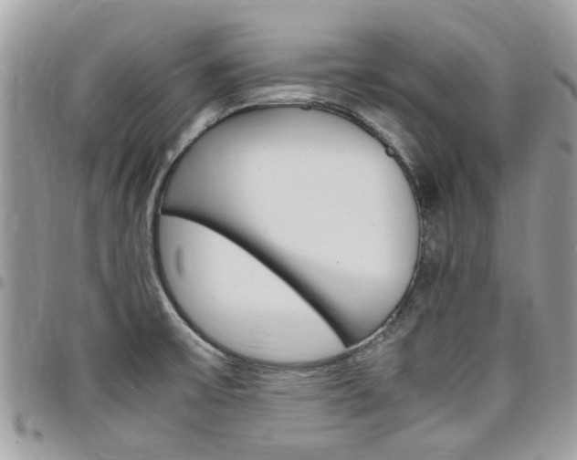 X0000097981475200803241030