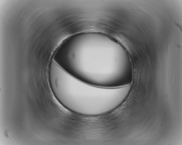 X0000097981476200803241030