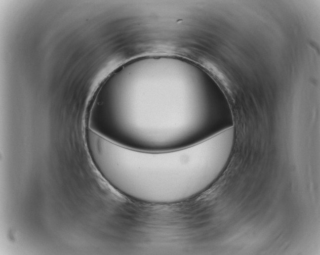 X0000097981480200803241030