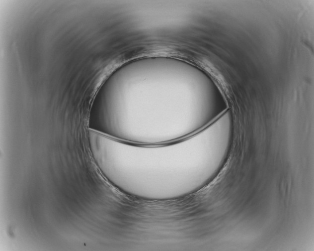 X0000097981481200803241030