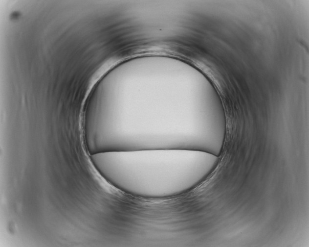 X0000097981482200803241030