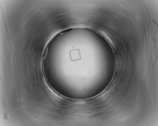 X0000097981484200803241030