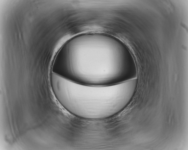 X0000097981488200803241030