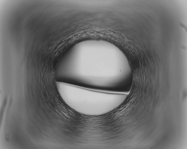 X0000097981490200803241030