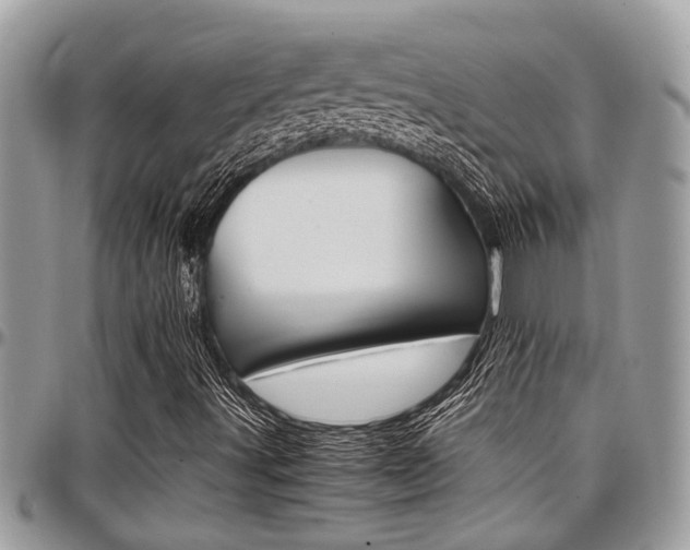 X0000097981491200803241030