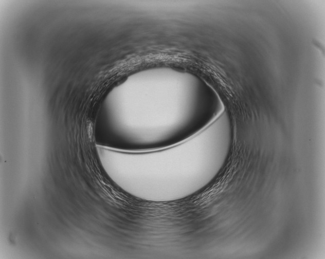 X0000097981492200803241030