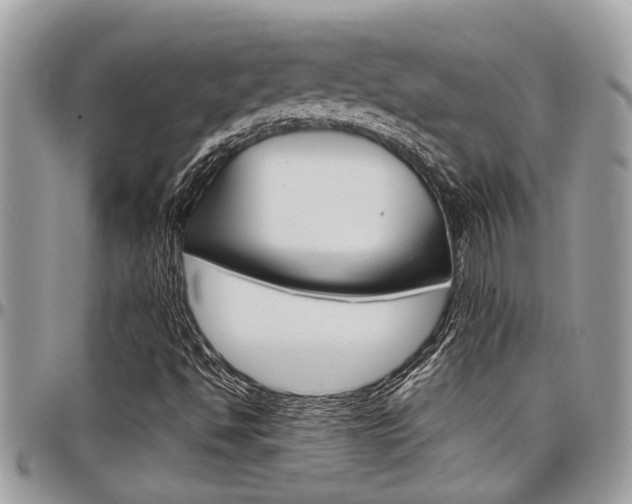 X0000097981494200803241030