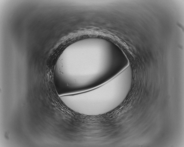 X0000097981495200803241030