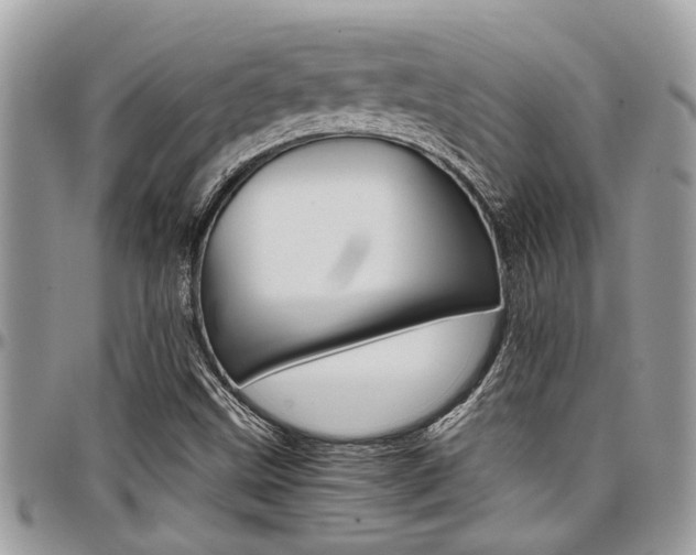 X0000097981499200803241030