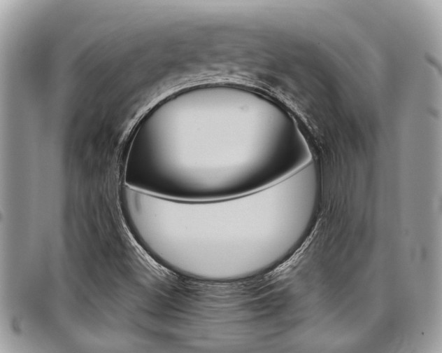 X0000097981500200803241030