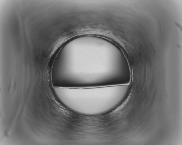 X0000097981501200803241030