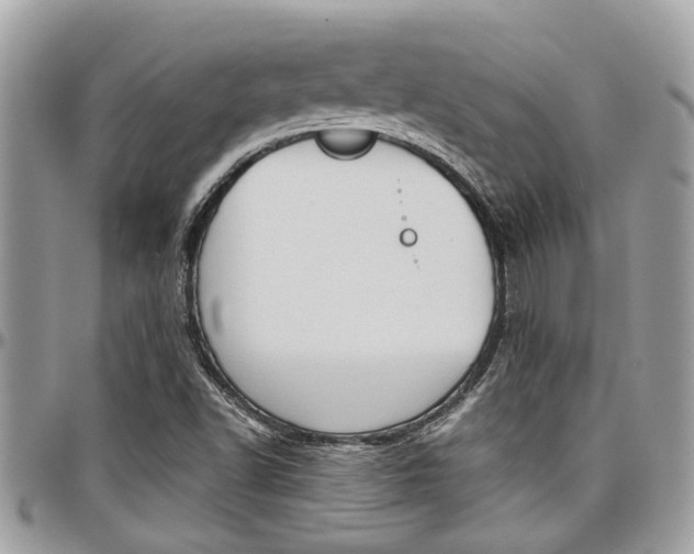 X0000097981502200803241030