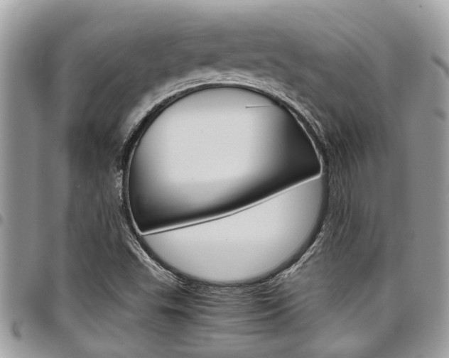 X0000097981503200803241030
