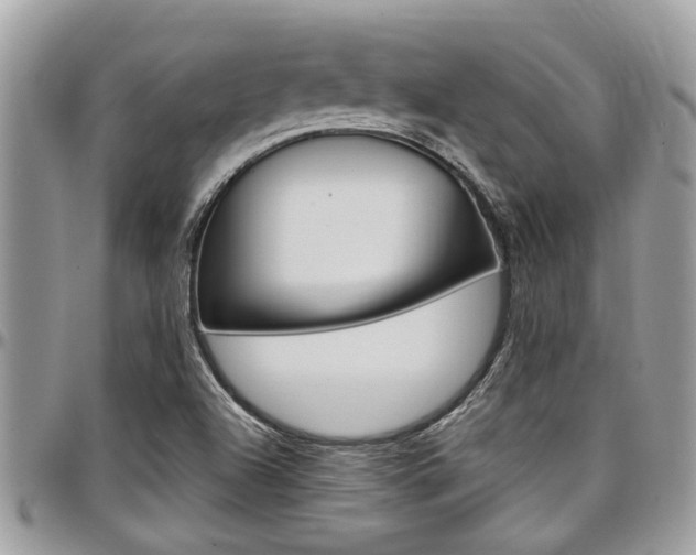 X0000097981504200803241030