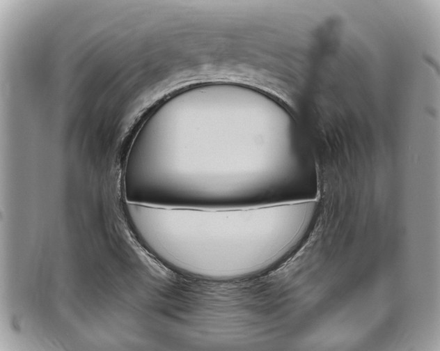 X0000097981507200803241030