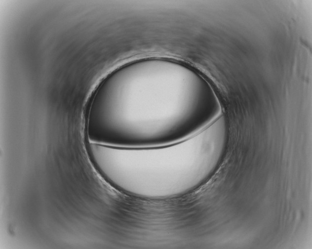 X0000097981508200803241030