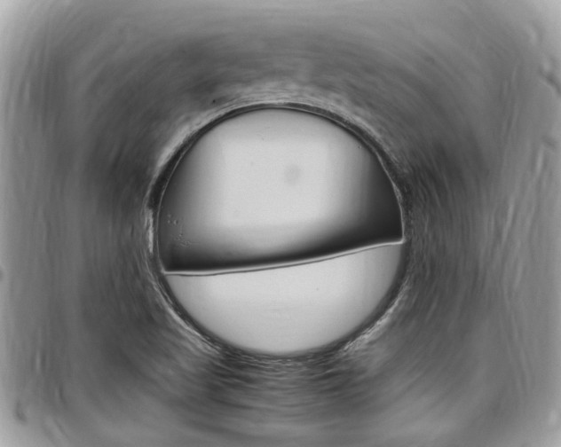 X0000097981509200803241030