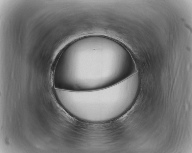 X0000097981510200803241030