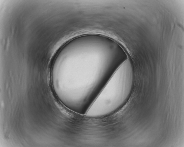 X0000097981511200803241030
