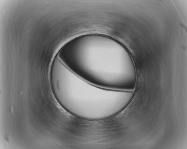 X0000097981516200803241030