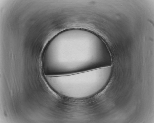 X0000097981517200803241030