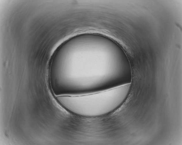 X0000097981518200803241030