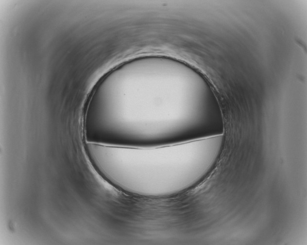 X0000097981519200803241030