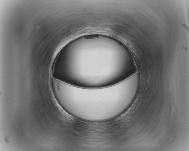 X0000097981520200803241030